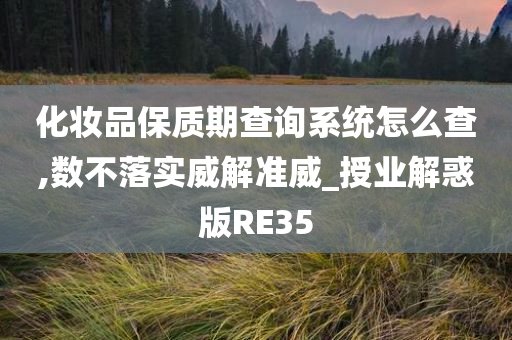 化妆品保质期查询系统怎么查,数不落实威解准威_授业解惑版RE35