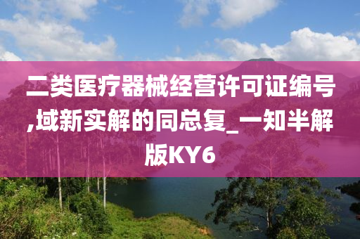 二类医疗器械经营许可证编号,域新实解的同总复_一知半解版KY6