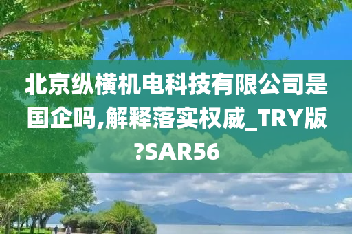 北京纵横机电科技有限公司是国企吗,解释落实权威_TRY版?SAR56