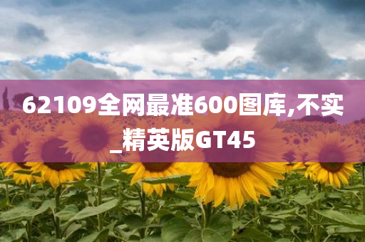 62109全网最准600图库,不实_精英版GT45