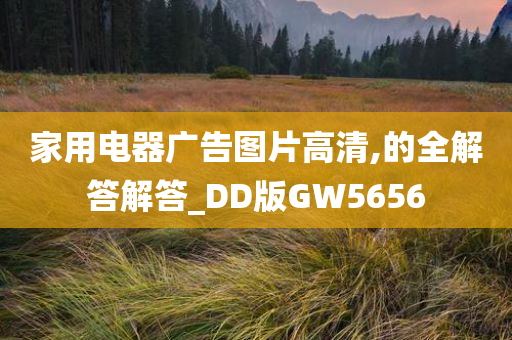 家用电器广告图片高清,的全解答解答_DD版GW5656