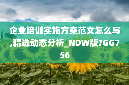 企业培训实施方案范文怎么写,精选动态分析_NDW版?GG756