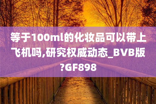 等于100ml的化妆品可以带上飞机吗,研究权威动态_BVB版?GF898