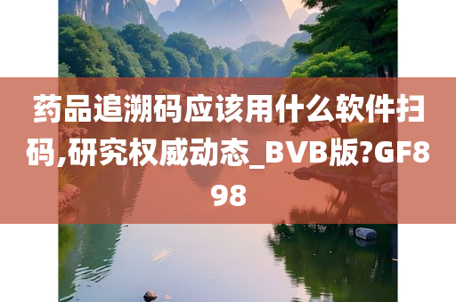 药品追溯码应该用什么软件扫码,研究权威动态_BVB版?GF898