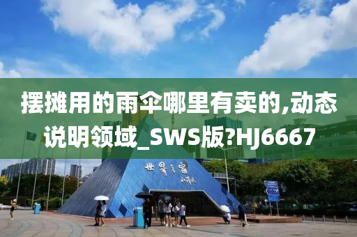 摆摊用的雨伞哪里有卖的,动态说明领域_SWS版?HJ6667