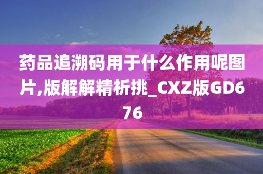 药品追溯码用于什么作用呢图片,版解解精析挑_CXZ版GD676