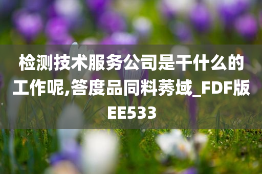 检测技术服务公司是干什么的工作呢,答度品同料莠域_FDF版EE533