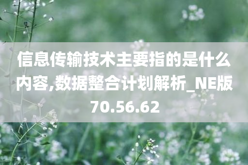 信息传输技术主要指的是什么内容,数据整合计划解析_NE版70.56.62