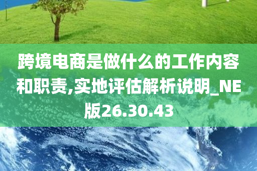 跨境电商是做什么的工作内容和职责,实地评估解析说明_NE版26.30.43