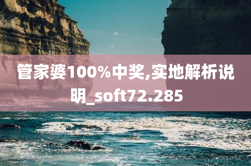 管家婆100%中奖,实地解析说明_soft72.285