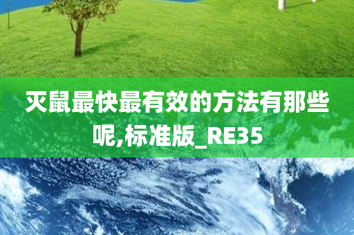 灭鼠最快最有效的方法有那些呢,标准版_RE35