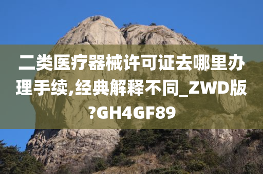 二类医疗器械许可证去哪里办理手续,经典解释不同_ZWD版?GH4GF89