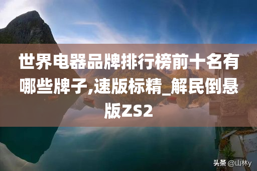 世界电器品牌排行榜前十名有哪些牌子,速版标精_解民倒悬版ZS2