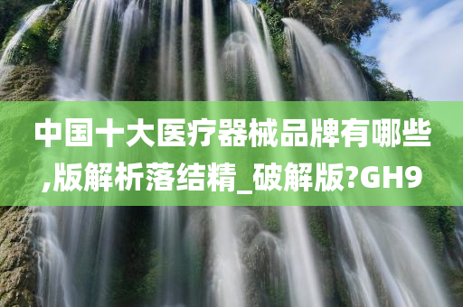 中国十大医疗器械品牌有哪些,版解析落结精_破解版?GH9