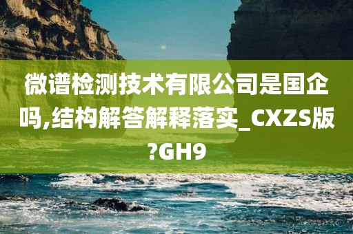 微谱检测技术有限公司是国企吗,结构解答解释落实_CXZS版?GH9