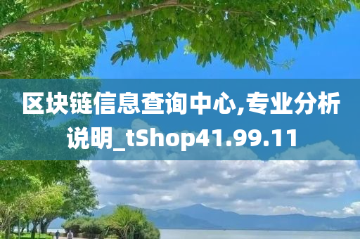 区块链信息查询中心,专业分析说明_tShop41.99.11