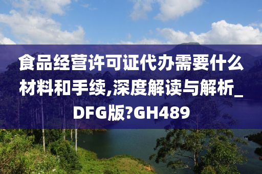 食品经营许可证代办需要什么材料和手续,深度解读与解析_DFG版?GH489