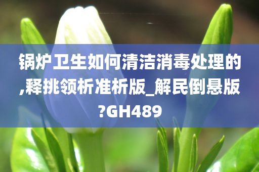 锅炉卫生如何清洁消毒处理的,释挑领析准析版_解民倒悬版?GH489