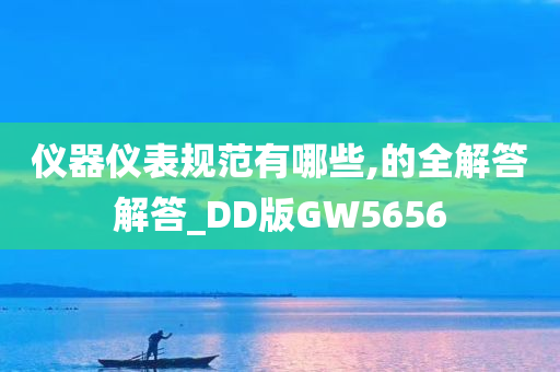 仪器仪表规范有哪些,的全解答解答_DD版GW5656