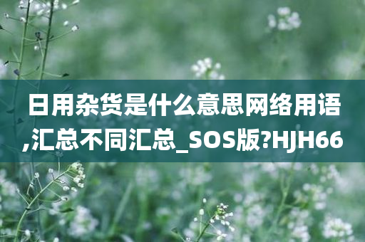 日用杂货是什么意思网络用语,汇总不同汇总_SOS版?HJH66