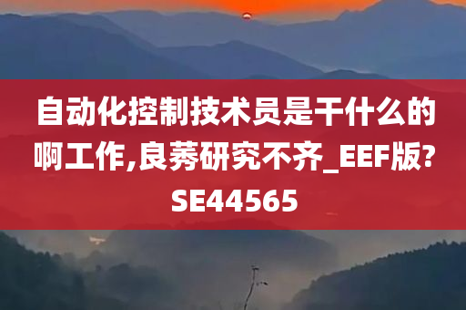 自动化控制技术员是干什么的啊工作,良莠研究不齐_EEF版?SE44565