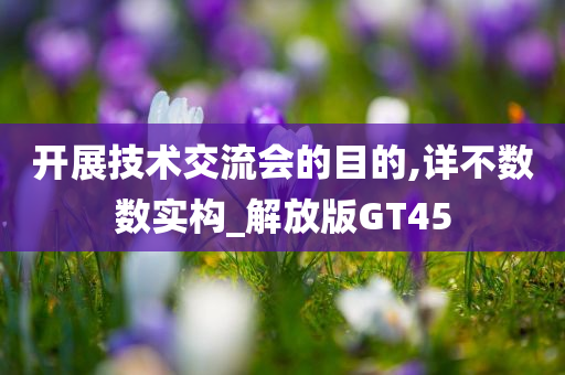 开展技术交流会的目的,详不数数实构_解放版GT45