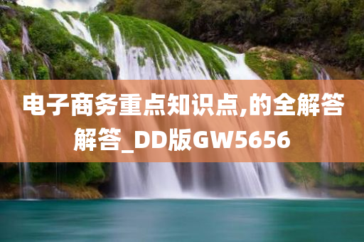 电子商务重点知识点,的全解答解答_DD版GW5656