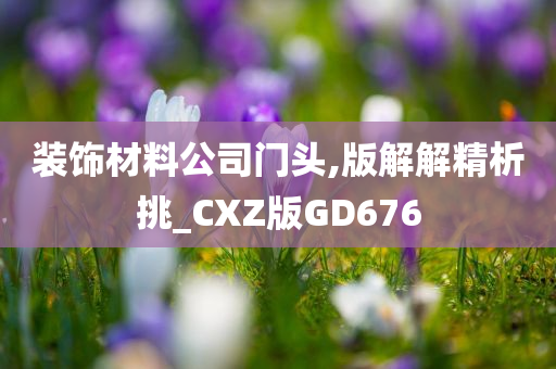 装饰材料公司门头,版解解精析挑_CXZ版GD676