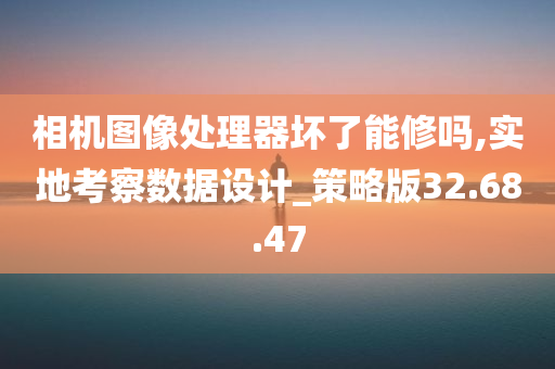 相机图像处理器坏了能修吗,实地考察数据设计_策略版32.68.47