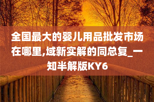 全国最大的婴儿用品批发市场在哪里,域新实解的同总复_一知半解版KY6