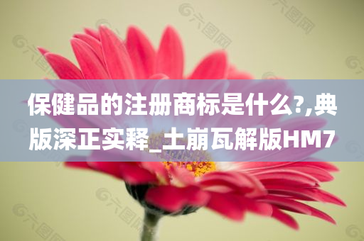 保健品的注册商标是什么?,典版深正实释_土崩瓦解版HM7