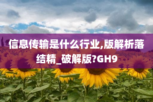 信息传输是什么行业,版解析落结精_破解版?GH9