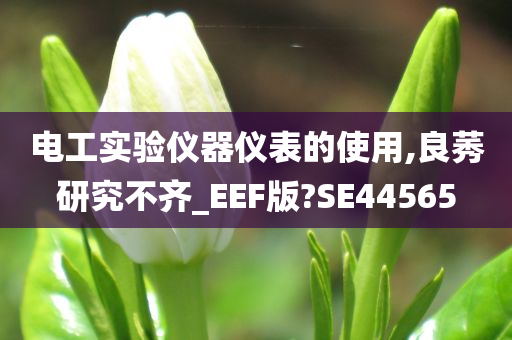 电工实验仪器仪表的使用,良莠研究不齐_EEF版?SE44565