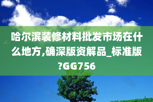 哈尔滨装修材料批发市场在什么地方,确深版资解品_标准版?GG756