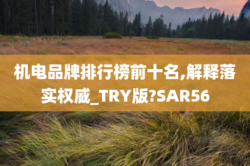 机电品牌排行榜前十名,解释落实权威_TRY版?SAR56