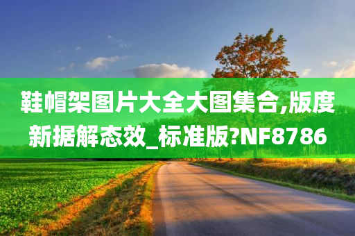 鞋帽架图片大全大图集合,版度新据解态效_标准版?NF8786