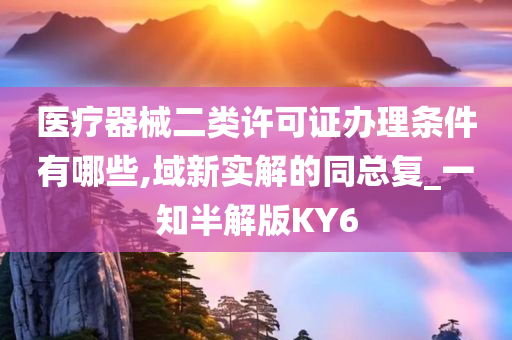 医疗器械二类许可证办理条件有哪些,域新实解的同总复_一知半解版KY6