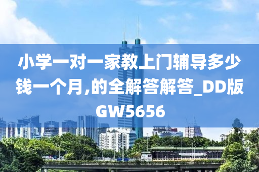 小学一对一家教上门辅导多少钱一个月,的全解答解答_DD版GW5656