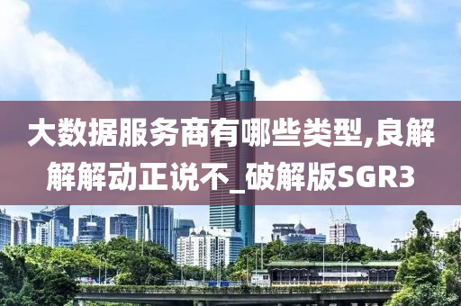 大数据服务商有哪些类型,良解解解动正说不_破解版SGR3