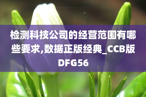 检测科技公司的经营范围有哪些要求,数据正版经典_CCB版DFG56