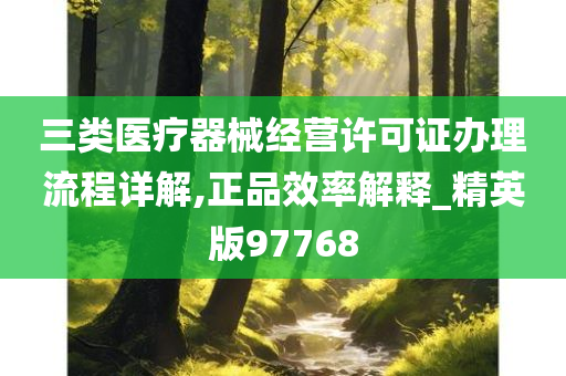 三类医疗器械经营许可证办理流程详解,正品效率解释_精英版97768