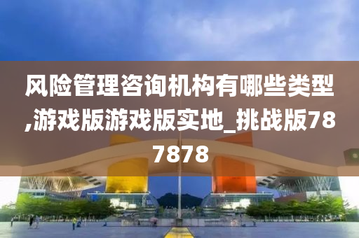 风险管理咨询机构有哪些类型,游戏版游戏版实地_挑战版787878