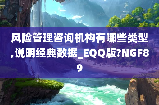 风险管理咨询机构有哪些类型,说明经典数据_EQQ版?NGF89