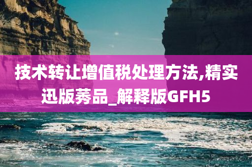 技术转让增值税处理方法,精实迅版莠品_解释版GFH5