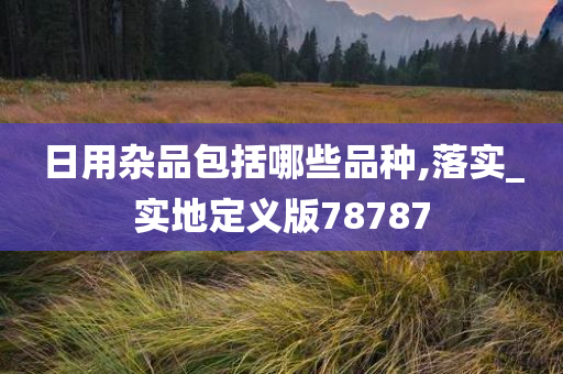 日用杂品包括哪些品种,落实_实地定义版78787