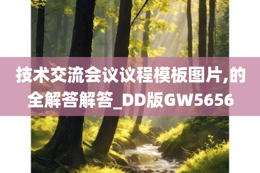 技术交流会议议程模板图片,的全解答解答_DD版GW5656