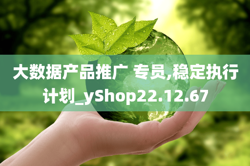 大数据产品推广 专员,稳定执行计划_yShop22.12.67