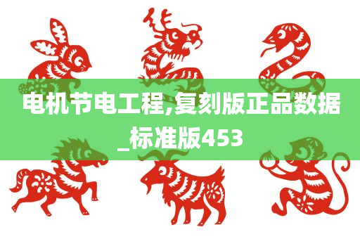 电机节电工程,复刻版正品数据_标准版453