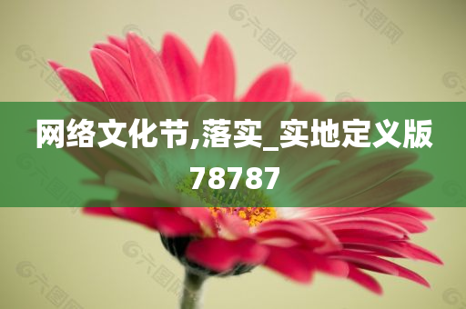 网络文化节,落实_实地定义版78787