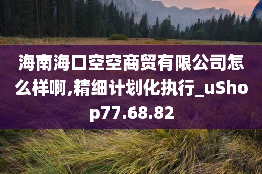 海南海口空空商贸有限公司怎么样啊,精细计划化执行_uShop77.68.82